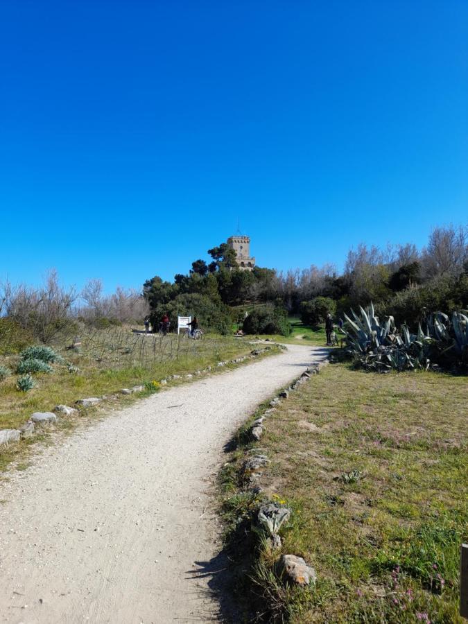 Bouganville Casa Vacanza Ambiente Climatizzato Con Wi Fi Pineto Extérieur photo