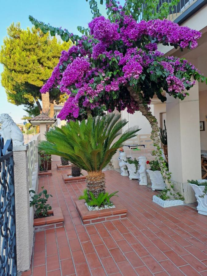 Bouganville Casa Vacanza Ambiente Climatizzato Con Wi Fi Pineto Extérieur photo