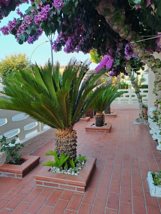 Bouganville Casa Vacanza Ambiente Climatizzato Con Wi Fi Pineto Extérieur photo
