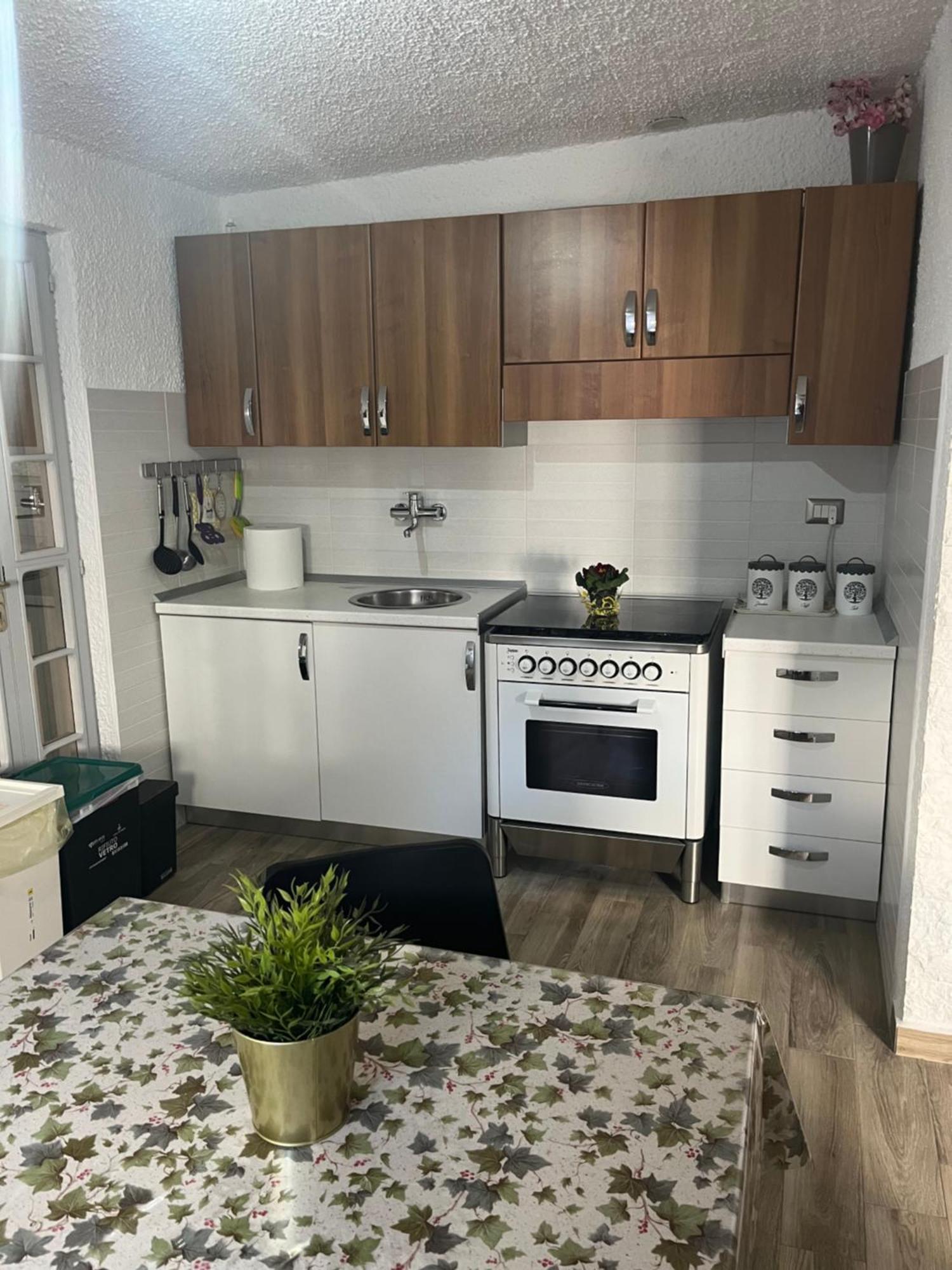 Bouganville Casa Vacanza Ambiente Climatizzato Con Wi Fi Pineto Extérieur photo
